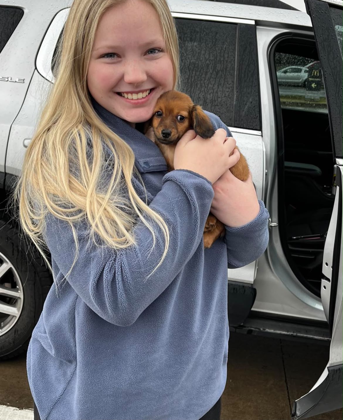 Puppy from Kendra P.