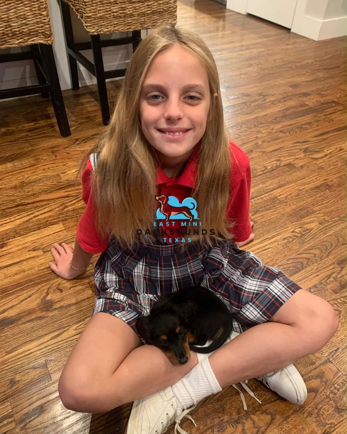 Puppy from The Lawson Family