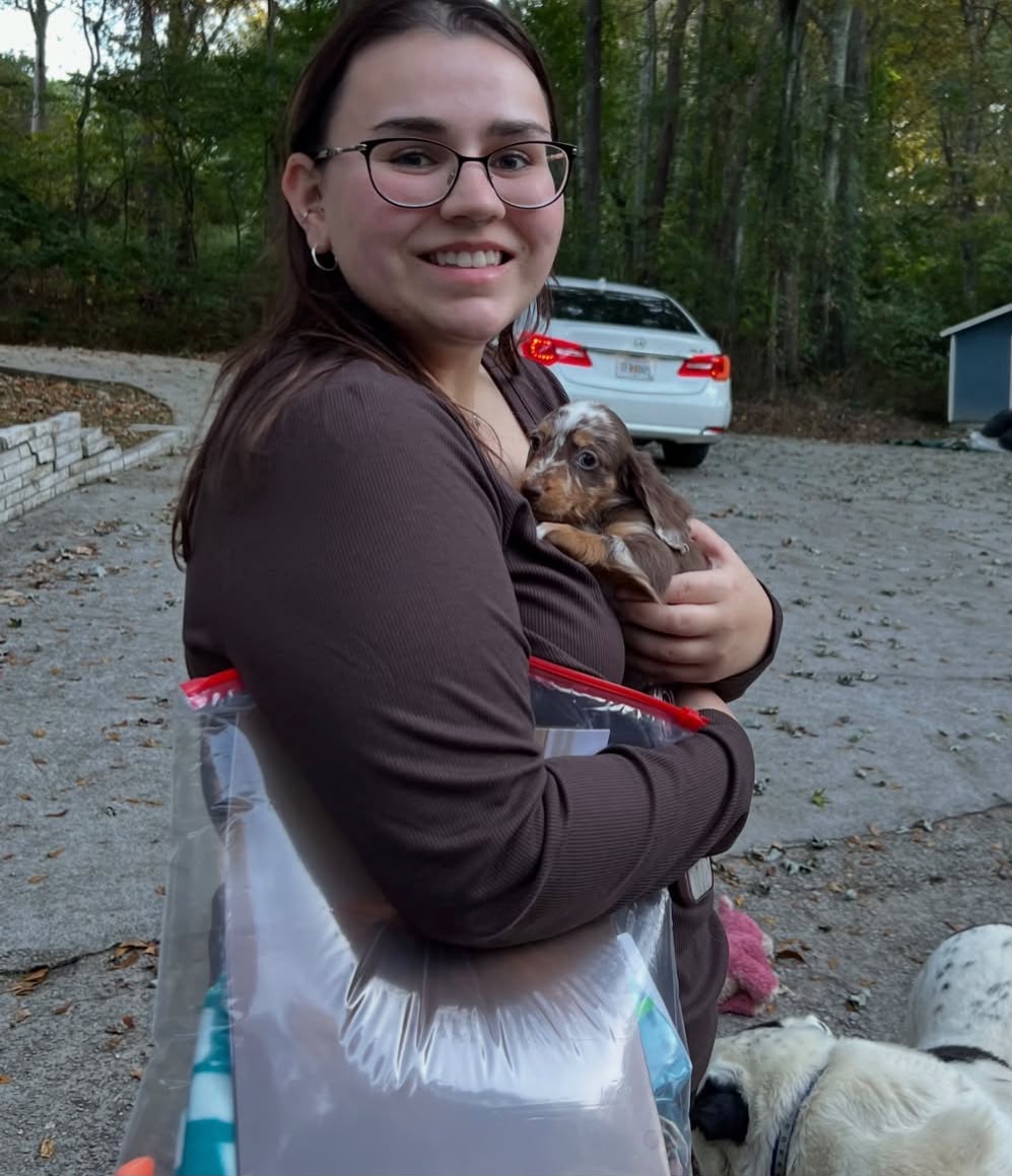 Puppy from Lauren E.
