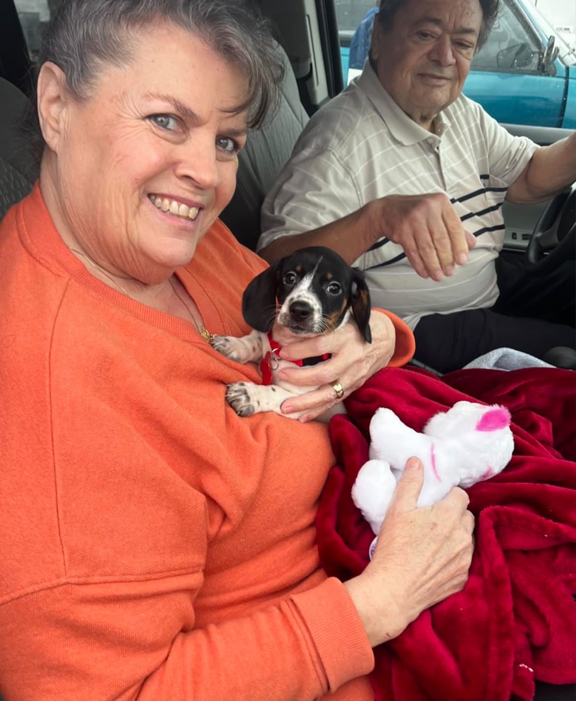 Puppy from Gary & Diane T.